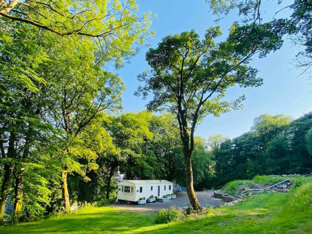 Corbar Hill Lodge Woodland Retreat