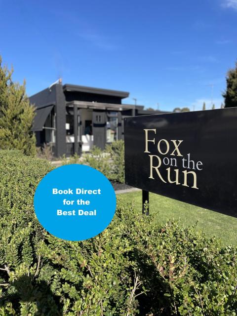 Fox on the Run - Motel Kilmore