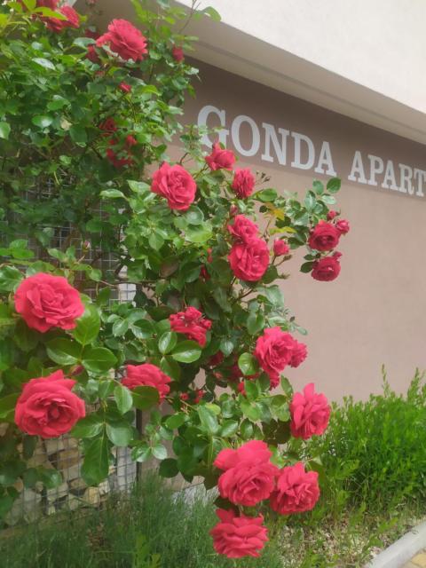 Gonda Apartments