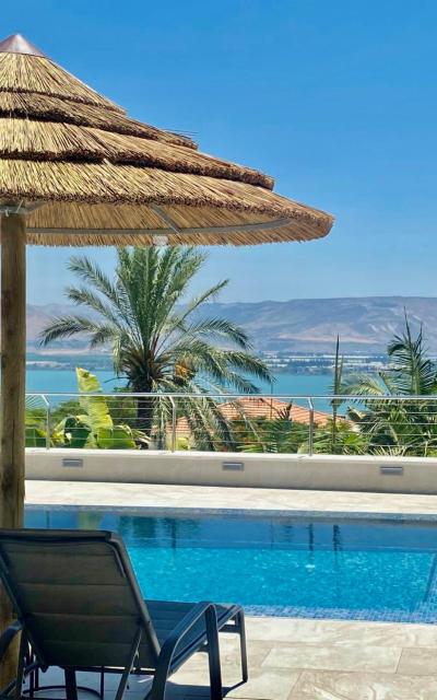 Kinneret View