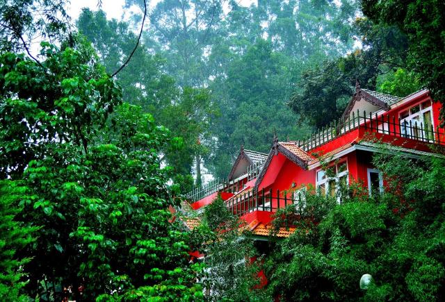 Tea Valley Resort, Munnar