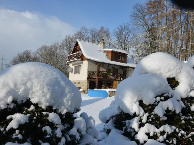 House with the pool and fenced garden