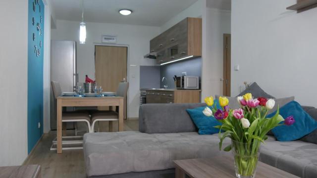 Všemina Apartman