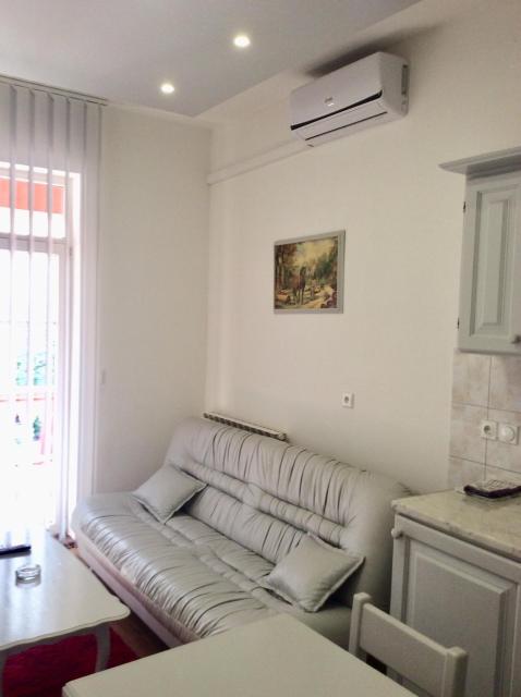 Apartman Andrea, BN centar