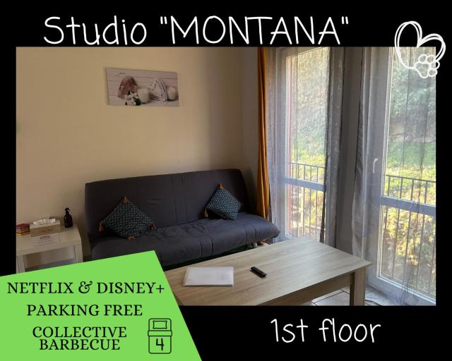 Ô Reflets - L'Arizona Dinant - Studio 2 beds - Garden, Free Parking, Dog ok