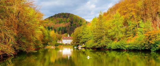 Hotel Pfälzer Wald