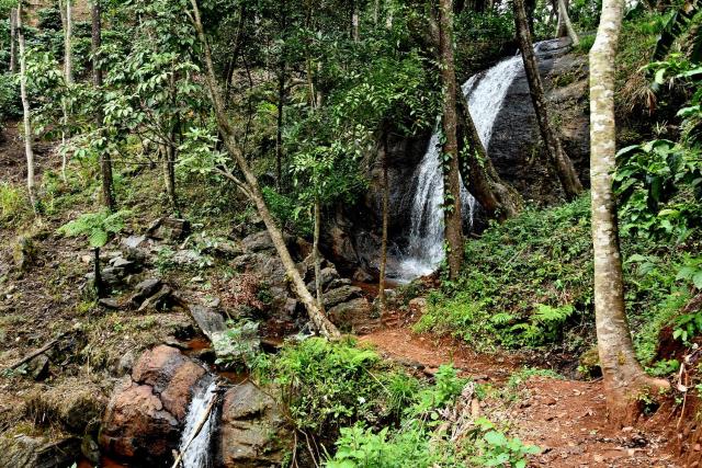 Karadikallu Homestay - Private Waterfalls, Hill Top, Home Food