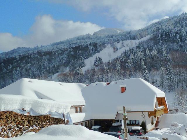 Apartment in Brandenberg with terrace