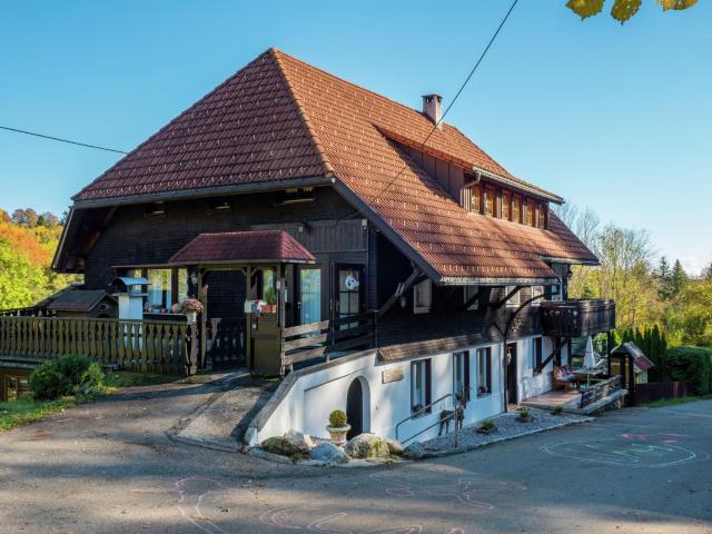 Apartment near the Feldberg ski area