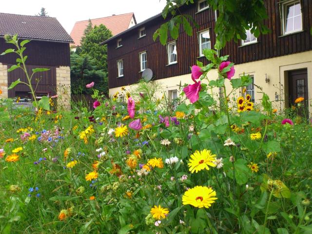 Holiday home in Saxony with garden