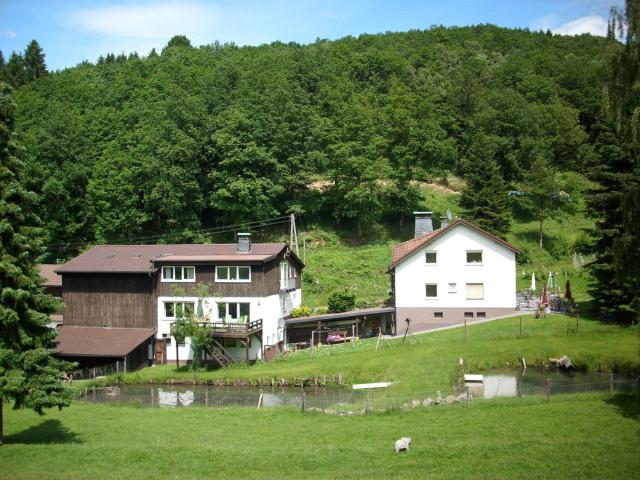 Apartment in Bruchhausen right on the fishing river