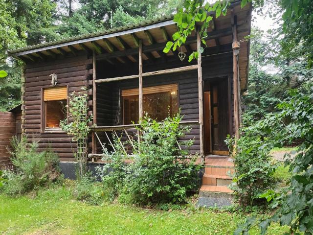 Tidy furnished wooden chalet near the forest