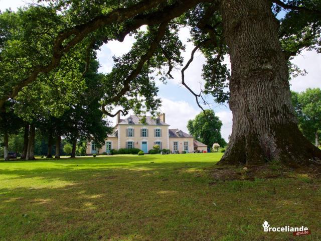 Château Du Pin - Teritoria