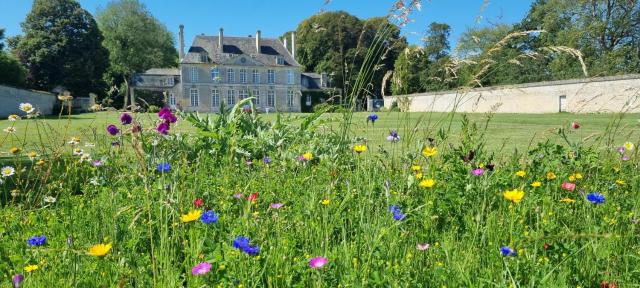 Chambres d'Hôtes Château de Martragny