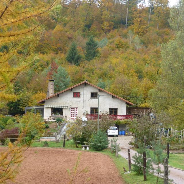 Gîte De La Vallée