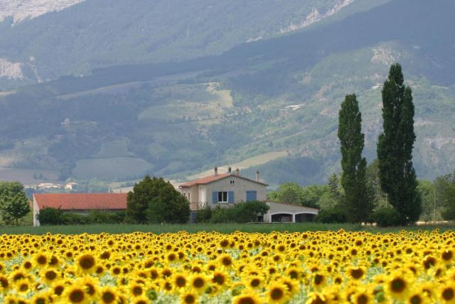 Le Mas De Saint-Ferréol Studio