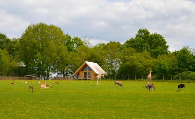 Les Lodges Du Reynou