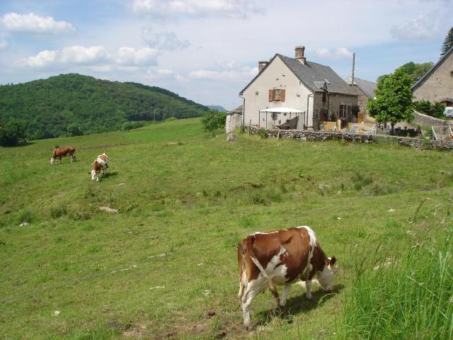 Chez Marraine