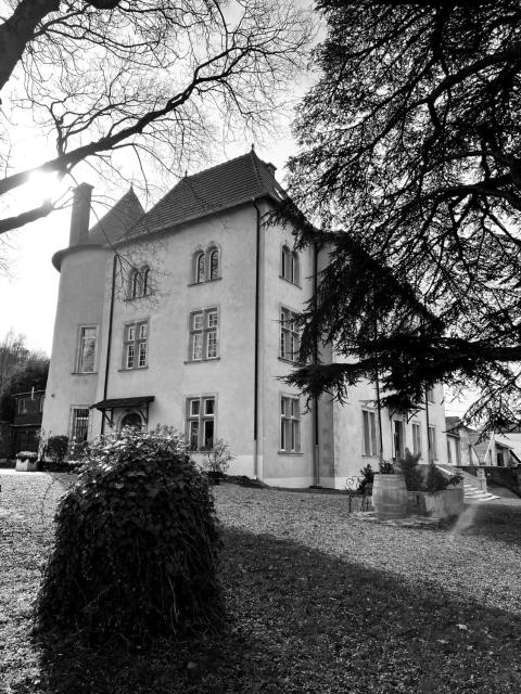 Bed and Breakfast Le Château de Morey