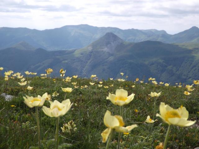 VVF Le Lioran Les Monts du Cantal