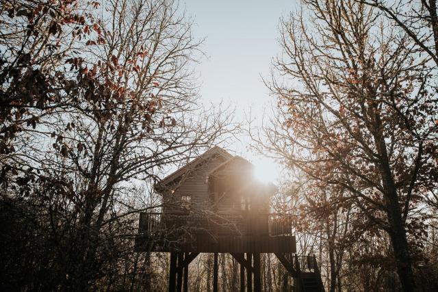 Cabane Rouge-Gorge