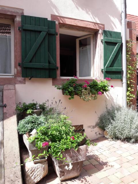 charmant petit appartement en Alsace