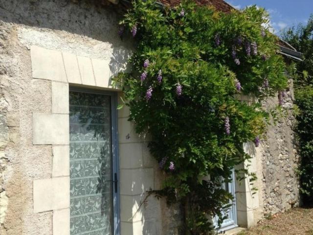 Évasion à Luzillé : Havre de Paix avec Jardin Privatif, proche Chenonceau et Beauval - FR-1-381-303