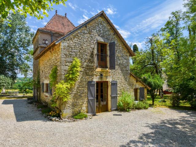 Character house with swimming pool