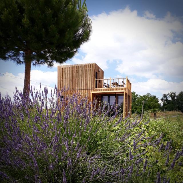 Manège de la Chapinière - DadaLoge tiny-house