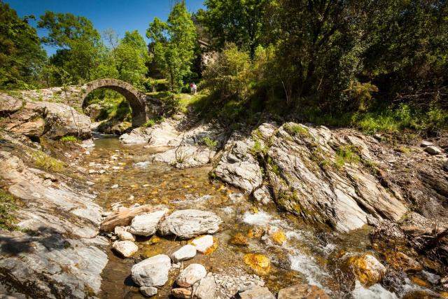 Transgardon B&B en Cévennes