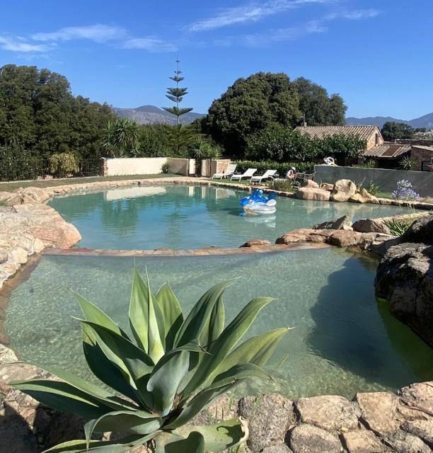 Maison L'Oranger avec piscine - Domaine E Case di Cuttoli