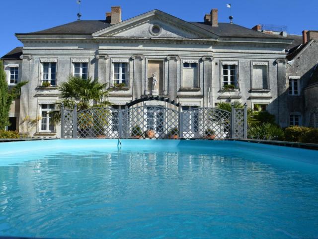 Château Authentique avec Piscine Privée, Proche Châteaux de la Loire et Zoo de Beauval - FR-1-381-485