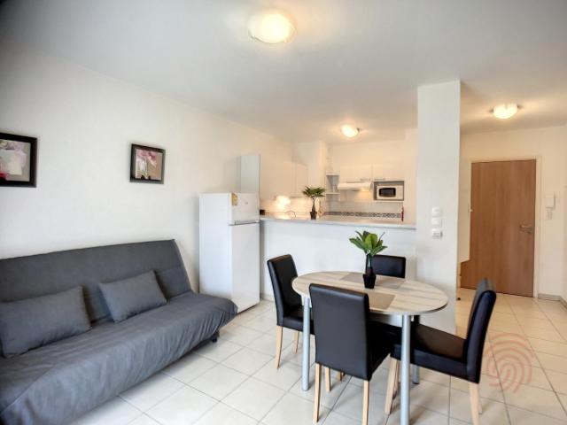 Appartement F2 climatisé avec terrasse, proche centre-ville et thermes, animaux acceptés - FR-1-451-117