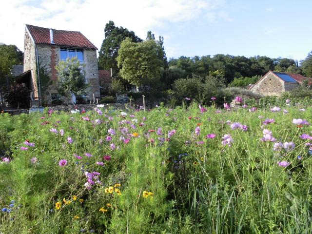 Vineyard Garden Studio