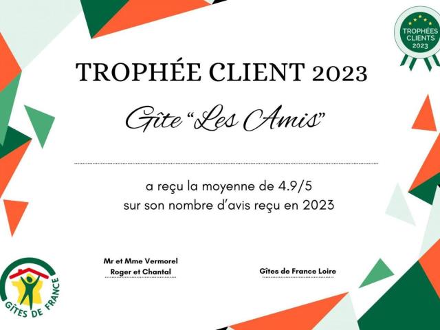 Gîte spacieux avec cheminée, proche forêt, VTT et randonnées, idéal pour familles et détente - FR-1-496-36