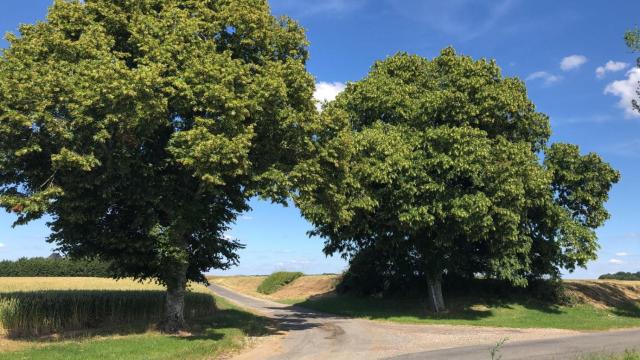 Le gîte de Ballage