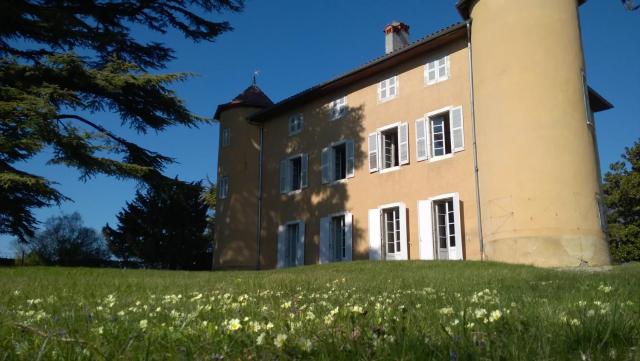 Château La Violette