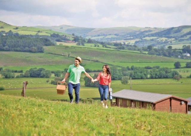 Trewythen Lodges