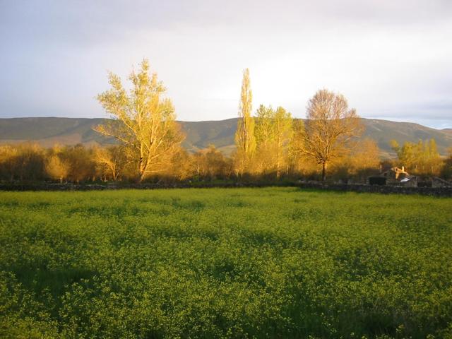 Casa rural Estrella Polar II