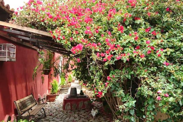 Cosy House in La Sabinita with Mountain View