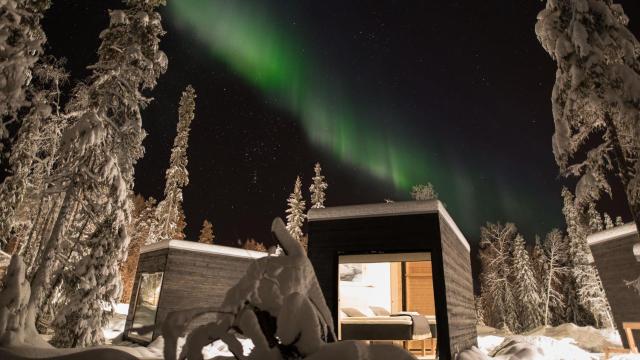 Vaattunki Wilderness Resort