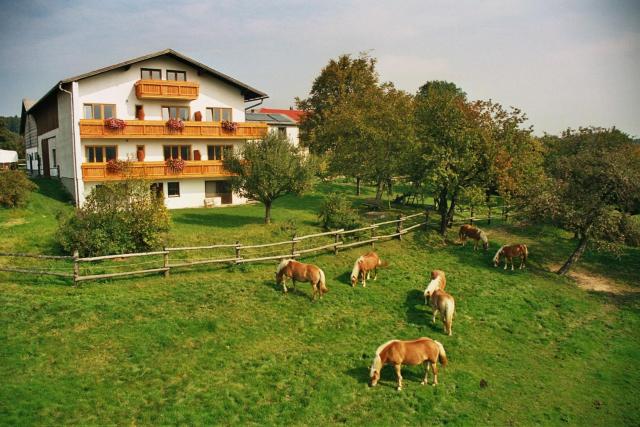 Biobauernhof Wolf-Hof