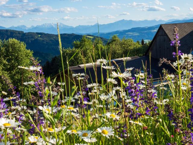 Ferienwohnungen Lichtenegger