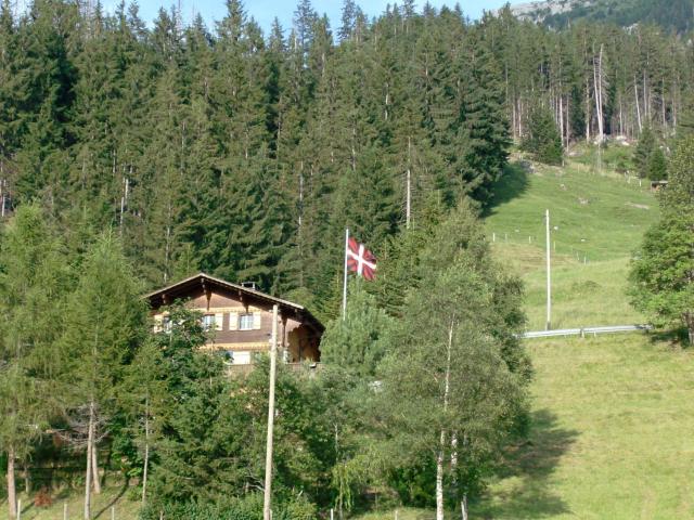 Chalet Weidli