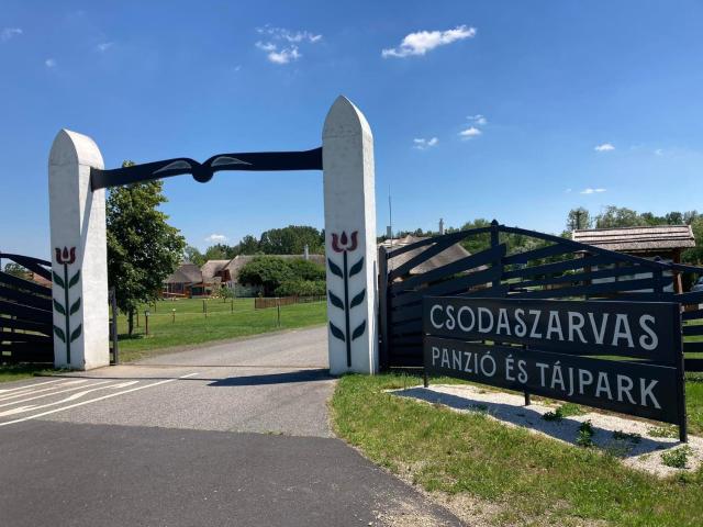 Csodaszarvas Vendégházak