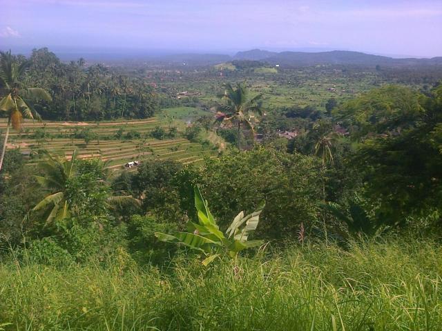 Pondok Alam Bukit