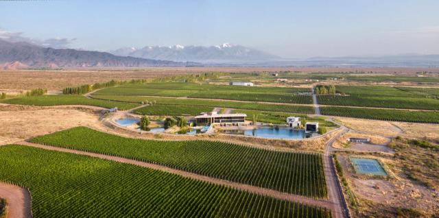 Casa de Uco Vineyards and Wine Resort