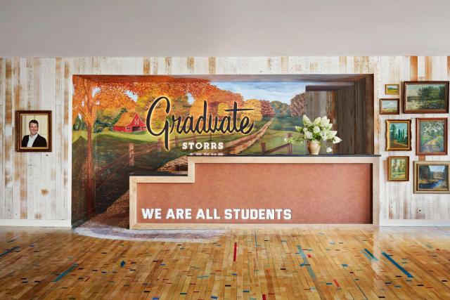 Graduate by Hilton Storrs