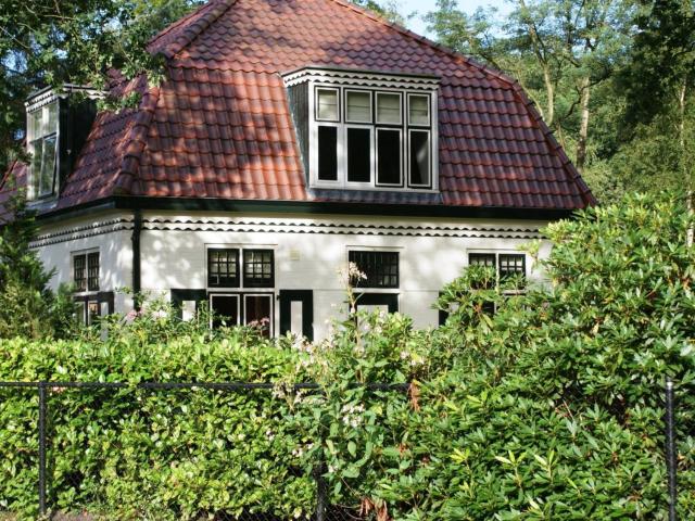 House with a garden, surrounded by forest