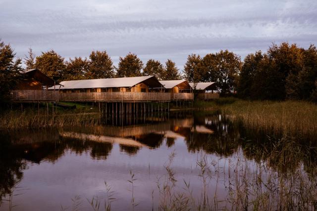 Luxe glamping tent